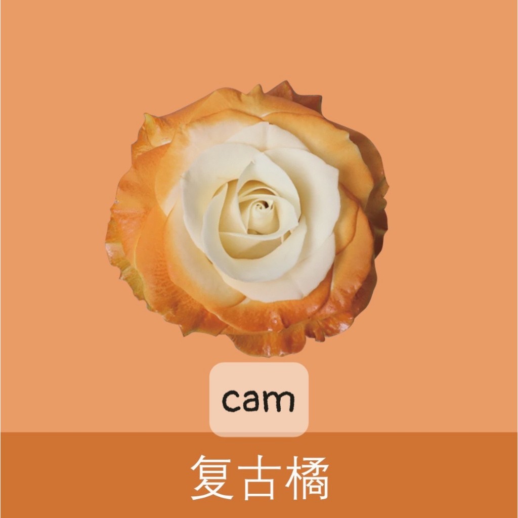 Sơn Xịt Tạo Màu Cho Hoa Tươi Lâu Hơn,Mùi thơm nhẹ Dung Tích 450ml