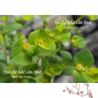 Cam Toại 500g