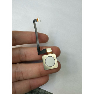 Cảm Biến Vân Tay Google Pixel 3 Màu Trắng
