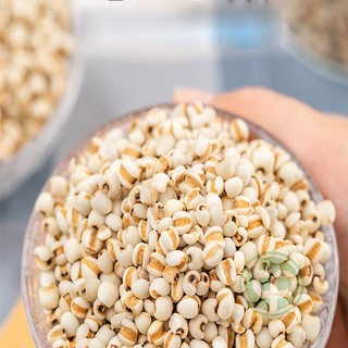 Hạt ý dĩ - Thảo dược Tấn Phát