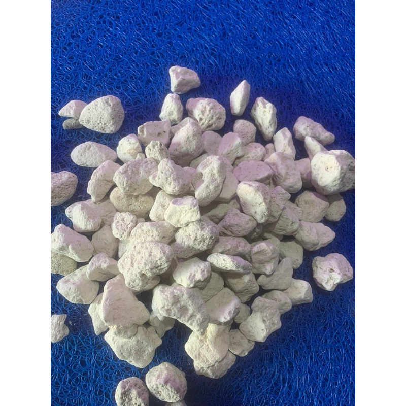 Đá Lông Vũ Nham Thạch Trắng TURKEY 2-4cm Vật liệu lọc hồ cá cao cấp