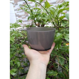 Sét dụng cụ hỗ trợ nhuộm tóc