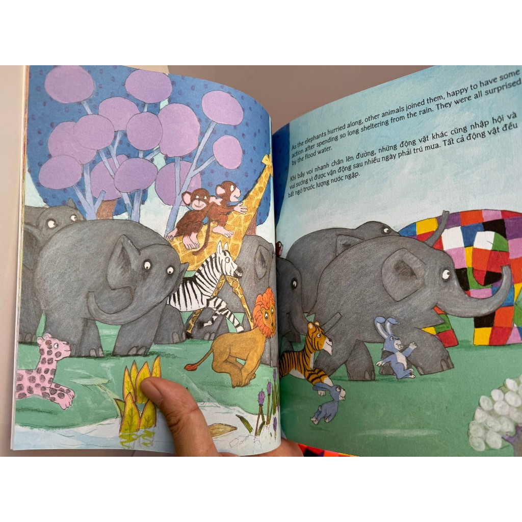 Sách_Combo 4 cuốn Elmer – Đông A _NXB Dân Trí