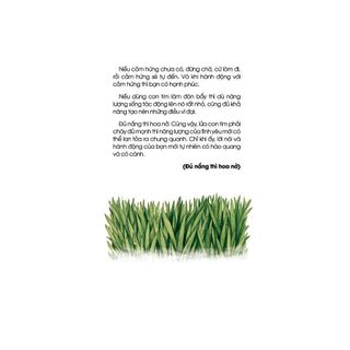 Sách - Đủ Nắng Thì Hoa Nở (Ba Gàn, PNA - Nhà Sách Thành An)