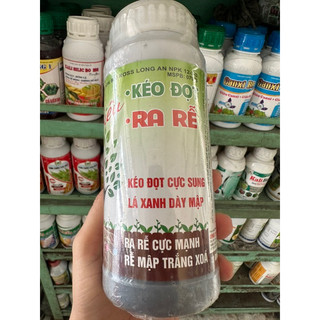 Kéo đọt ra rễ chai 500ml kéo đọt cực sung- lá xanh dày mập- rễ mập trắng xoá