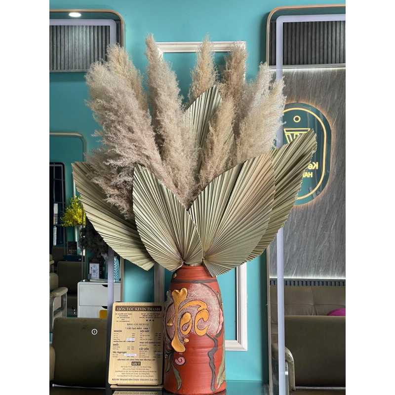 Bông cỏ lau khô, lau xù, cỏ lao, hoa khô trang trí decor nhà, spa, để bàn, chụp hình phong cách vintage…
