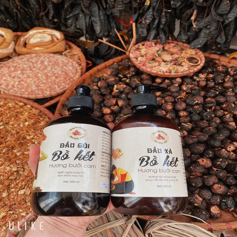 Dầu gội bồ kết cô đặc HƯƠNG BƯỞI CAM, kích thích mọc tóc, giảm rụng