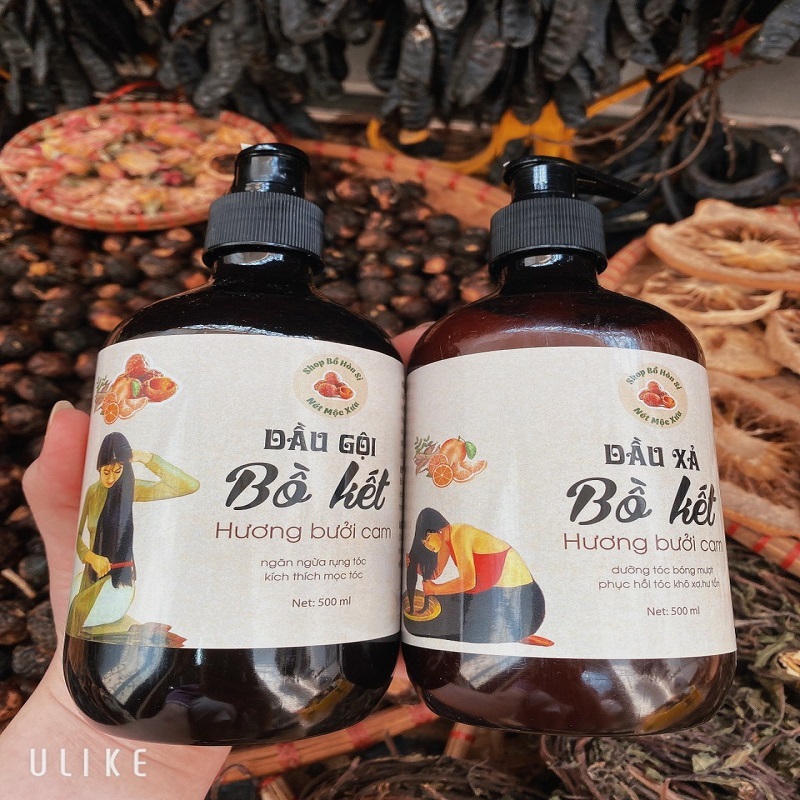 Dầu gội bồ kết cô đặc HƯƠNG BƯỞI CAM, kích thích mọc tóc, giảm rụng