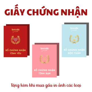 Giấy chứng nhận tình yêu - tình bạn - độc thân - nhacuabo_since2018