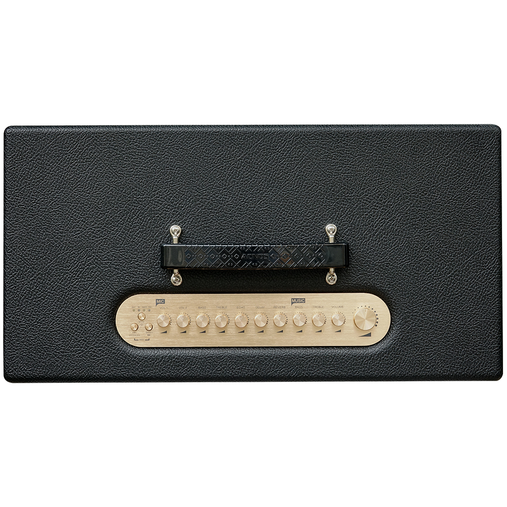 Dàn âm thanh di động xách tay ACNOS CS3600