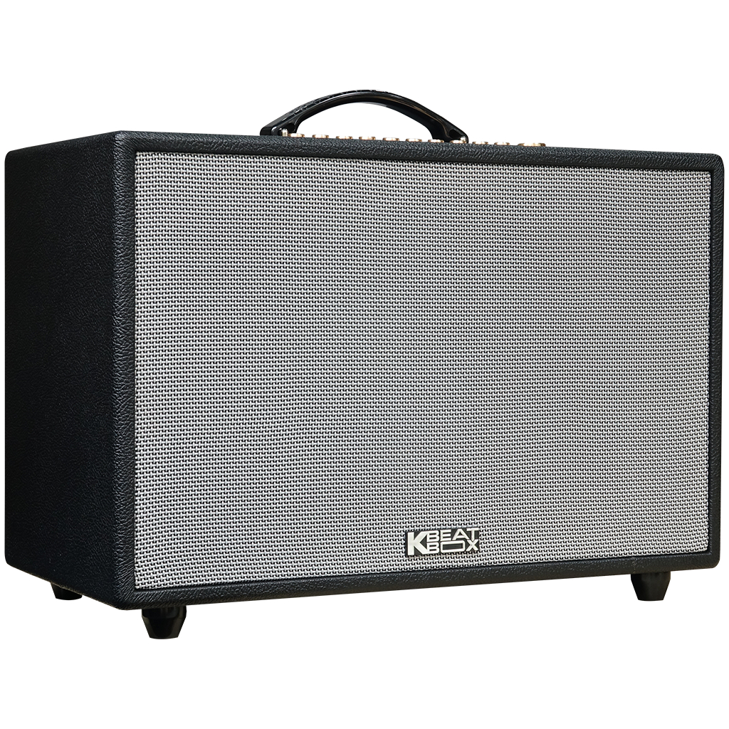 Dàn âm thanh di động xách tay ACNOS CS3600