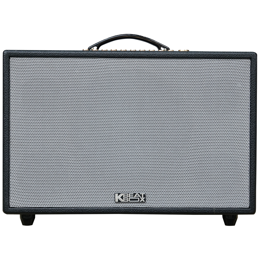 Dàn âm thanh di động xách tay ACNOS CS3600