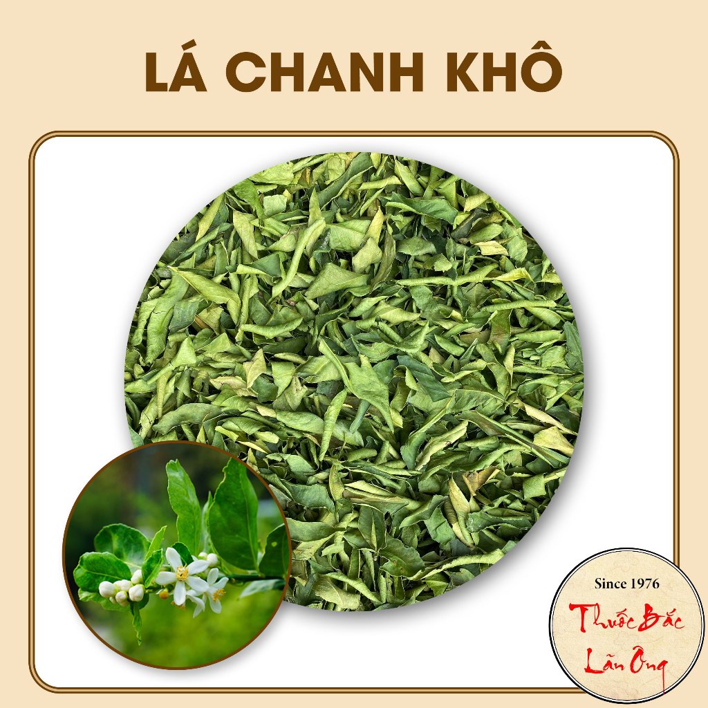 Lá chanh sấy khô 100g (Làm khô gà, gia vị món ăn, nấu nước xông giải cảm)