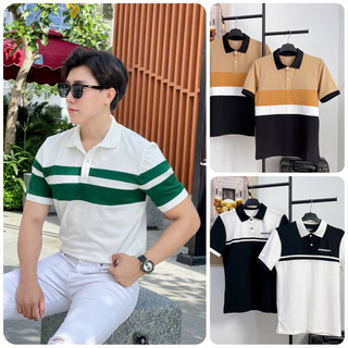 Áo thun polo nam PHỐI cao cấp cổ bẻ vải cá sấu cực đẹp size VNXK