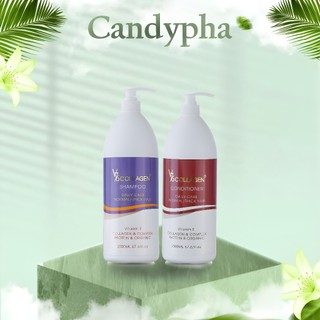   CHÍNH HÃNG  Cặp Gội Xả Phụ Hồi Tóc Hư Tổn V76 Collagen Italy 2000ML 