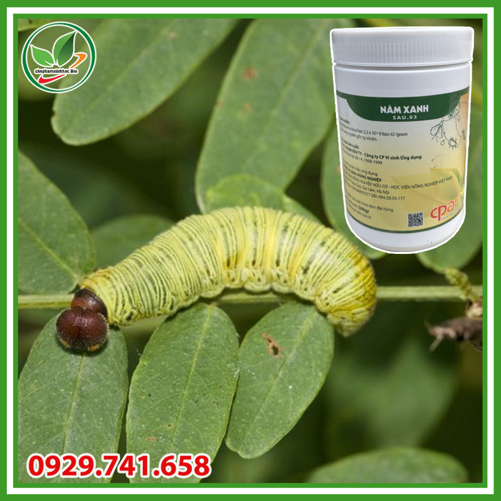 Chế phẩm sinh học nấm xanh . Phòng trừ sâu bệnh. Hộp 500g