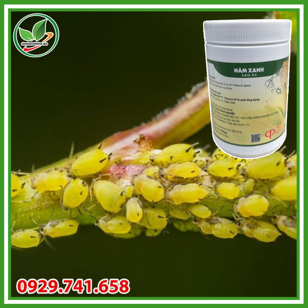 Chế phẩm sinh học nấm xanh . Phòng trừ sâu bệnh. Hộp 500g