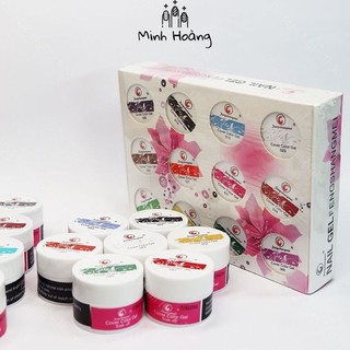 Set 12 màu gel vẽ nổi chất đậm đặc chuyên dụng trong ngành nail