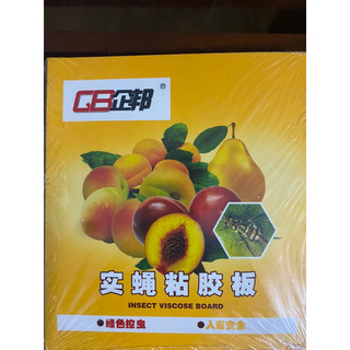 Miếng bẫy ruồi vàng, côn trùng