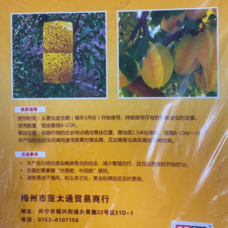 Miếng bẫy ruồi vàng, côn trùng