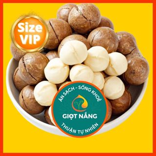 [Live] Hạt macca nứt vỏ mắc ca Đăk Lăk sấy lạnh quả dễ tách giá tận xưởng giàu dinh dưỡng cho Mẹ Bầu hộp từ GIỌT NẮNG