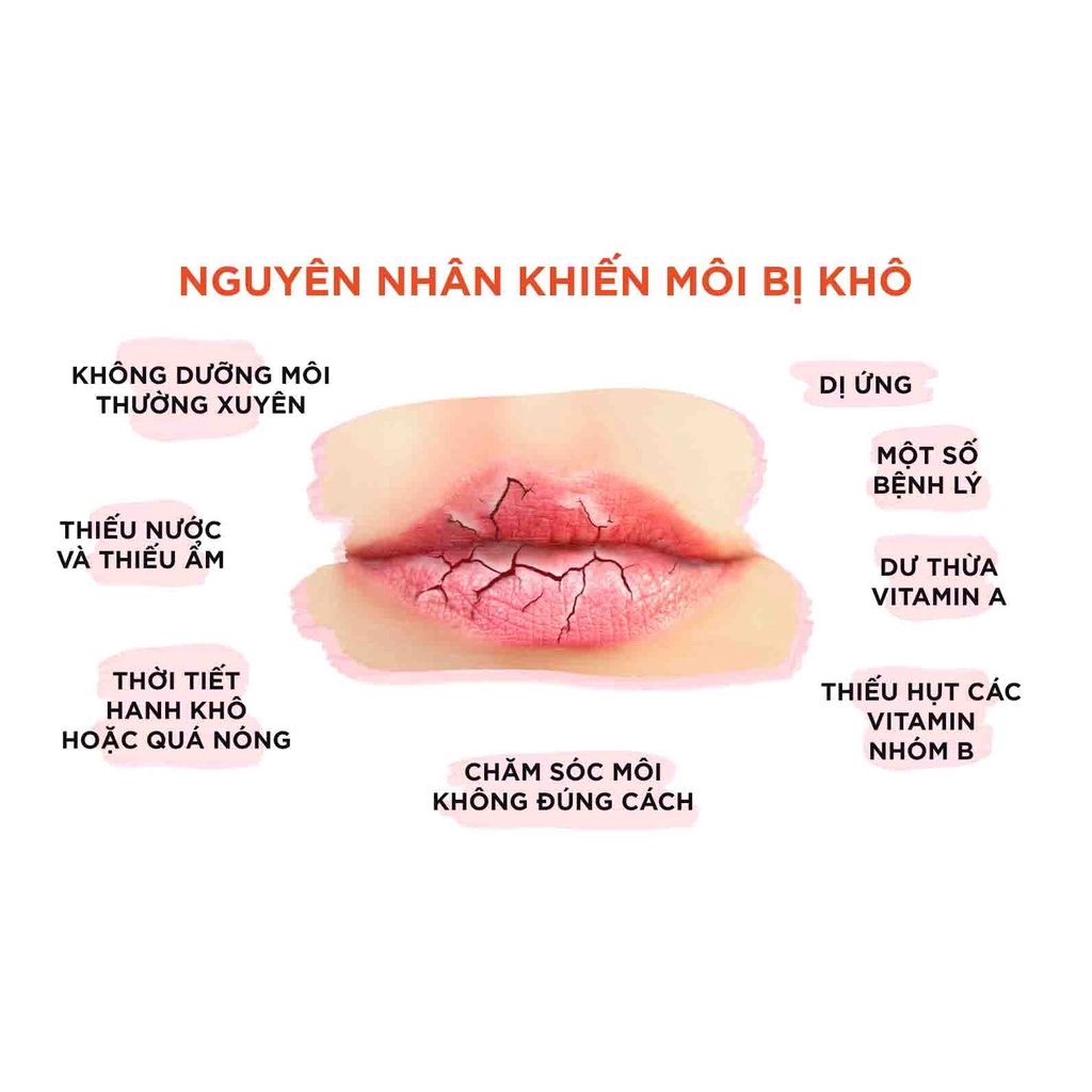 Son dưỡng môi D.H.C Lip Cream dưỡng ẩm, làm mềm môi 1,5g