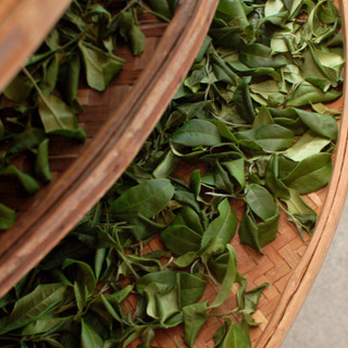 "HỎA TỐC" Trà Oolong Shan Tuyết Tấm