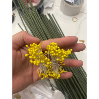 Nhuỵ bóng làm nhuỵ hoa