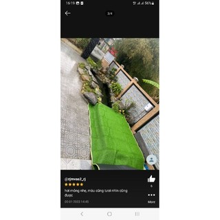 Thảm cỏ nhân tạo 30m2