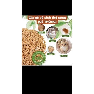 Gỗ viên vệ sinh cho thú cưng