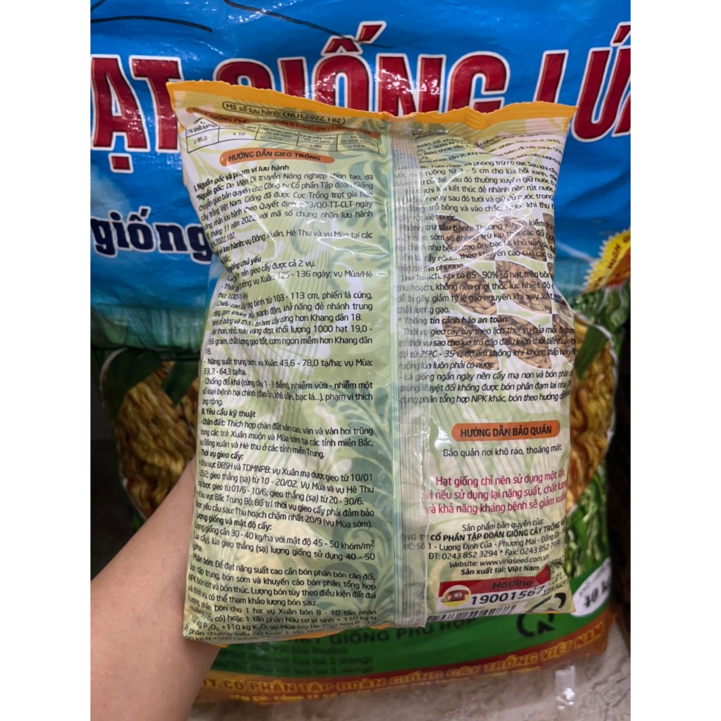 Giống lúa khang dân đột biến trung ương chính hãng