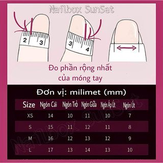 Nail Box- Móng úp thiết kế kèm keo dũa