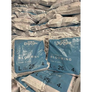 Bỉm Bejoyle Blooming dán/quần nội địa Trung S128/M108/L100/XL92/XXL84/XXXL76