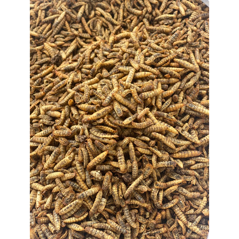 sâu canxi sấy khô 100g thức ăn cho chim, cá, sóc bay,...vv