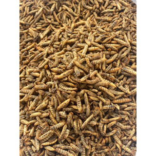 Sâu canxi sấy khô 100g thức ăn cho chim, cá, sóc bay,...vv