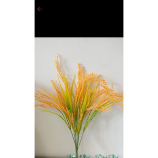 Bông Lúa vàng giả decor - Cành lúa vàng trĩu bông 7 nhánh dài 42cm