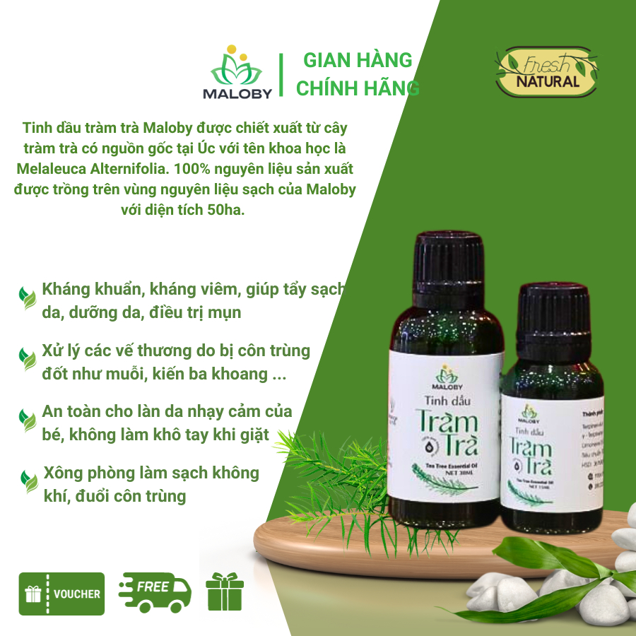 Tinh dầu Tràm Trà Úc organic Maloby nguyên chất xuất khẩu Tea Tree Oil