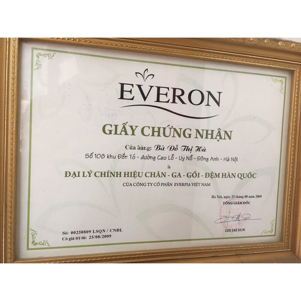 Vỏ gối Everon 45*65cm