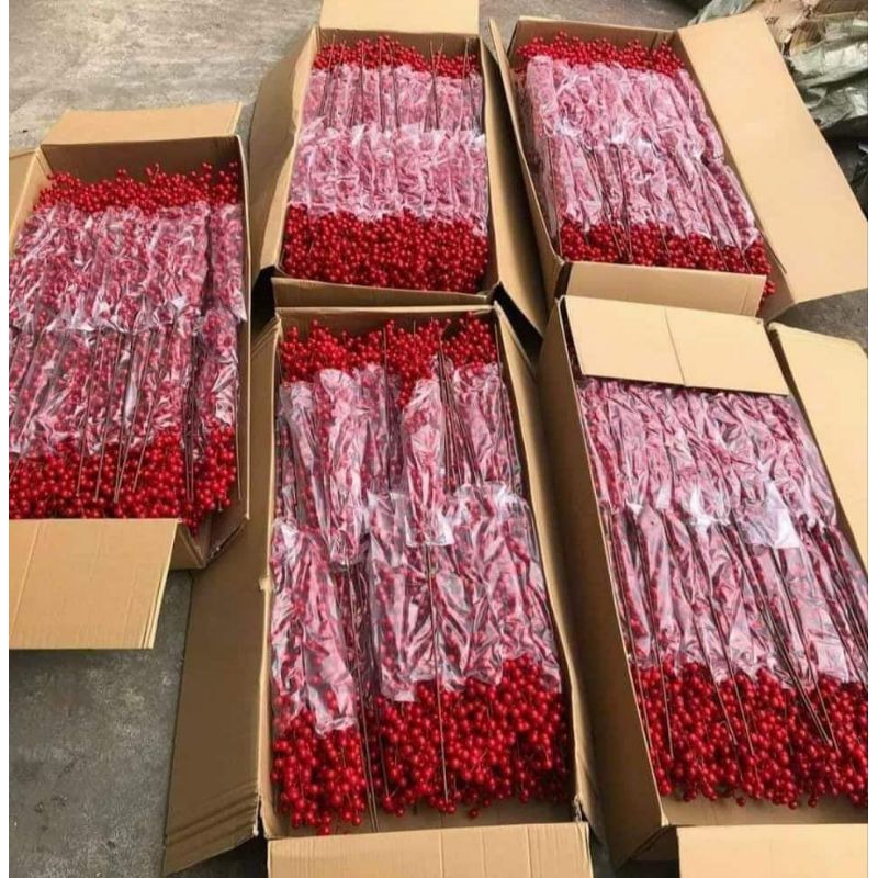 Cành Lá Trang Trí Tết