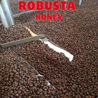 Cà phê Robusta honey nguyên chất rang mộc 100%