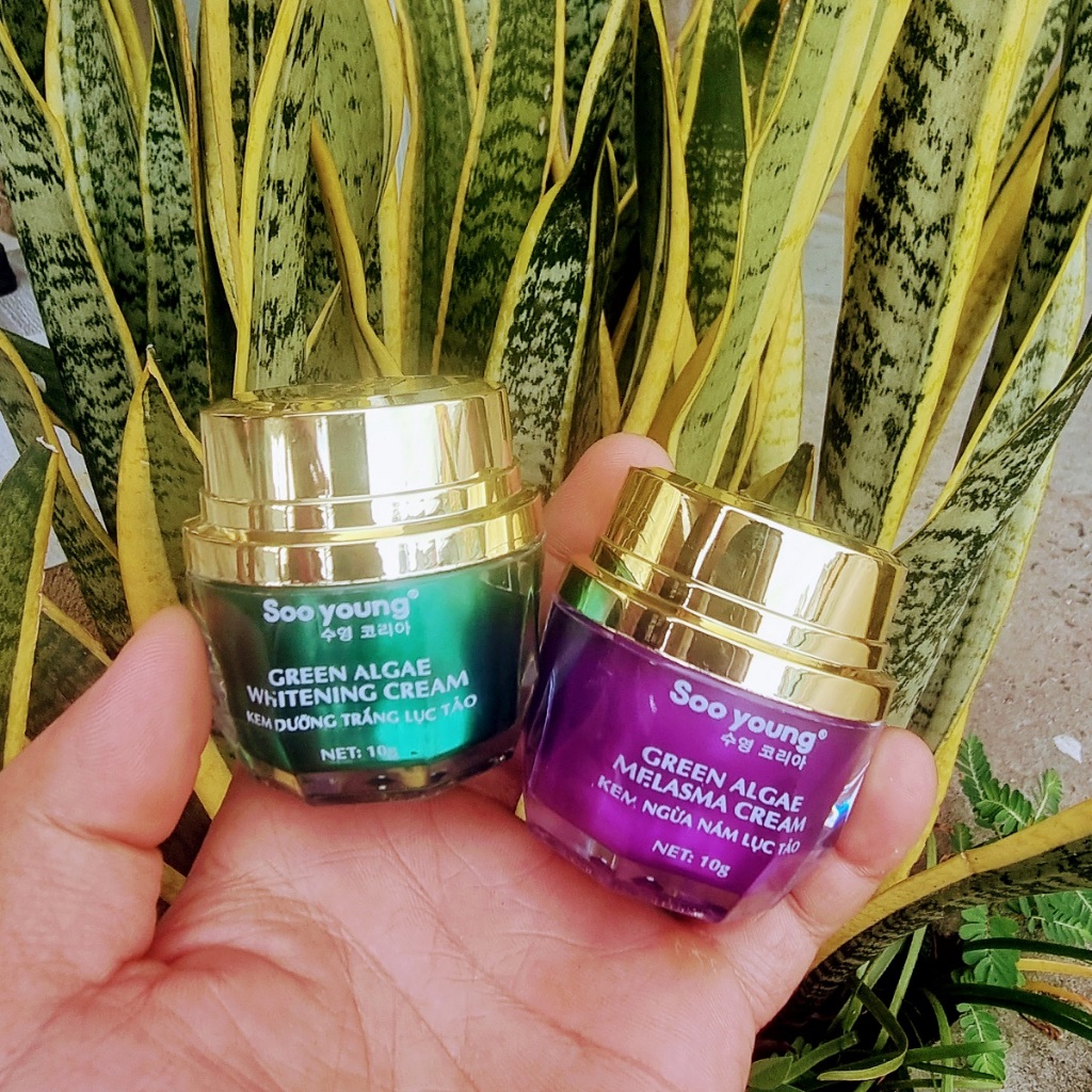 Bộ kem ngừa nám, dưỡng trắng da Soo young mẫu mới 10g