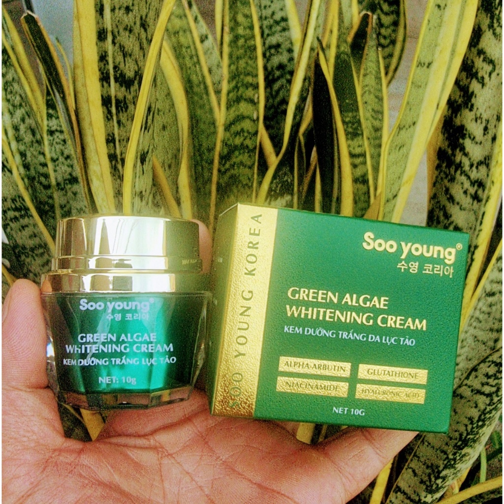 Bộ kem ngừa nám, dưỡng trắng da Soo young mẫu mới 10g
