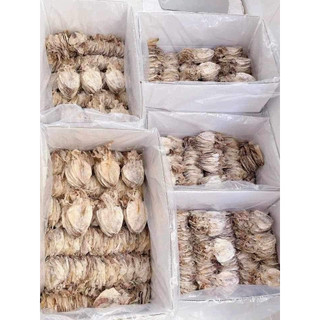 Mực khô ngon size 100 con 1kg- đặc sản sầm sơn
