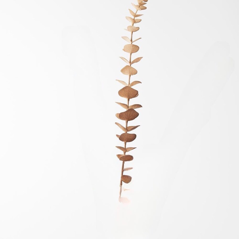 LẺ 1 cành rẻ quạt đồng 3 nhánh,cành táo vàng,cành tim vàng dùng trang trí oản tài lộc,tháp bánh, trang trí Tết 2024