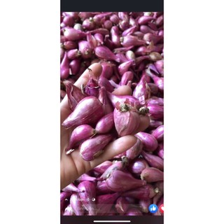 Hành tím phan rang ninh thuận túi lưới 1kg