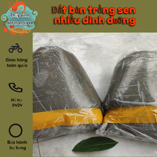 Đất bùn trồng sen giàu dinh dưỡng _ phụ kiện cá cảnh