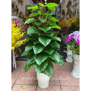 Cây trầu bà giả 63 lá cao 1m6 chưa chậu hàng cao cấp