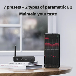 [NC] DeskTop Bluetooth DAC FIIO BR13 | Chip DAC ES9018K2M | DAC Để Bàn