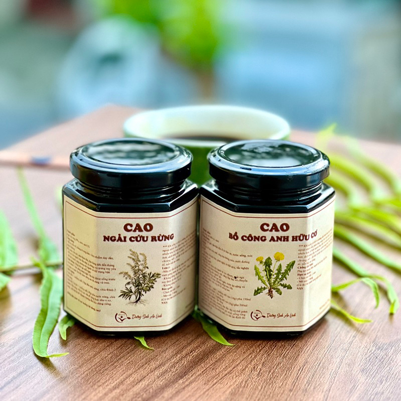 Cao Ngãi Cứu Rừng - Qhome Dưỡng Sinh An Lành