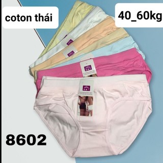 Quần lót thun thái cao cấp phom 40_60kg